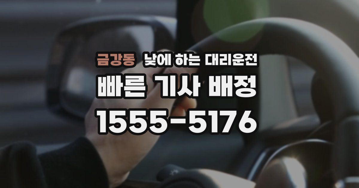 금강동 낮에 하는 대리운전