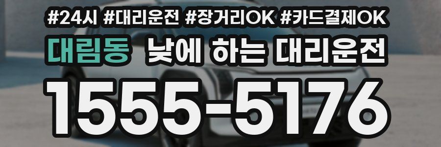 대림동 낮에 하는 대리운전