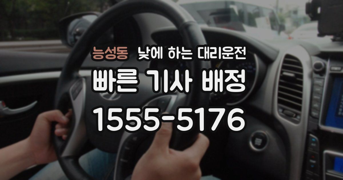 능성동 낮에 하는 대리운전