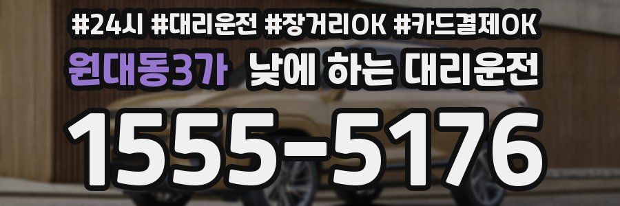 원대동3가 낮에 하는 대리운전