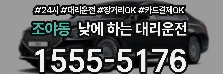 조야동 낮에 하는 대리운전