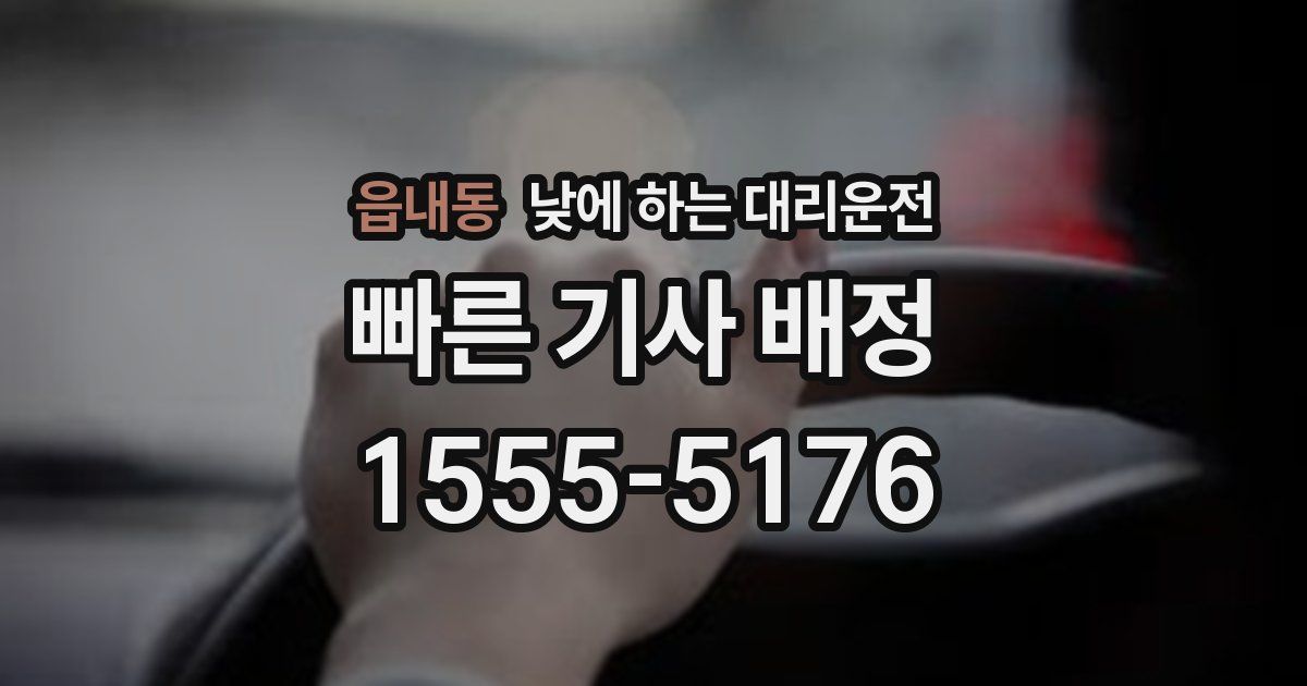 읍내동 낮에 하는 대리운전