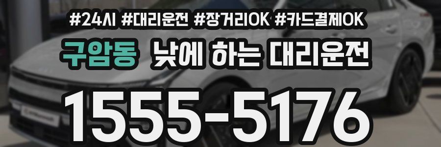 구암동 낮에 하는 대리운전