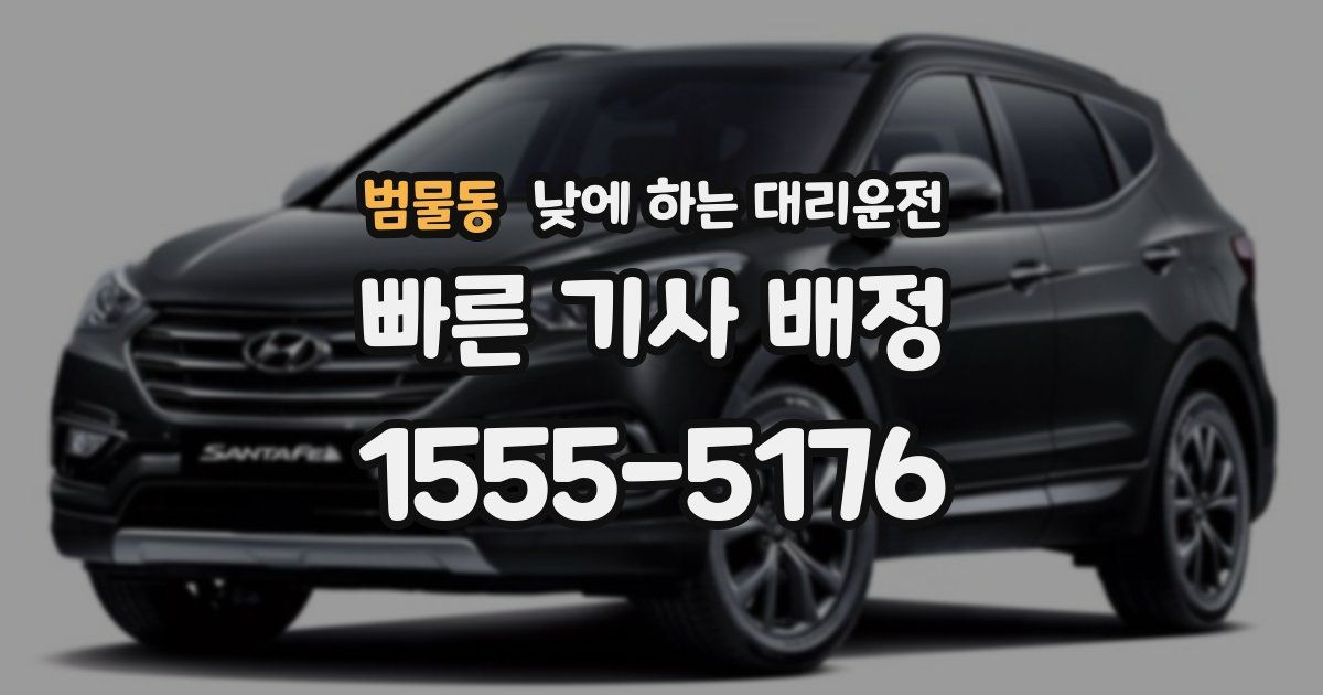 범물동 낮에 하는 대리운전