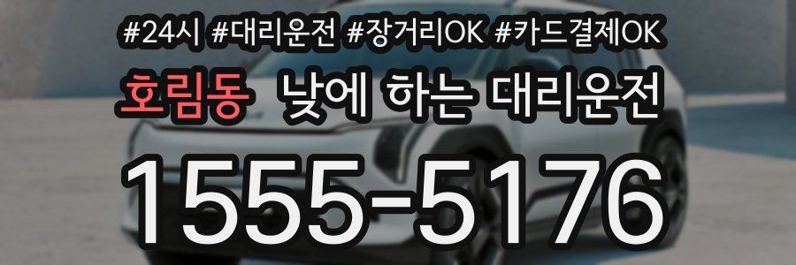 호림동 낮에 하는 대리운전