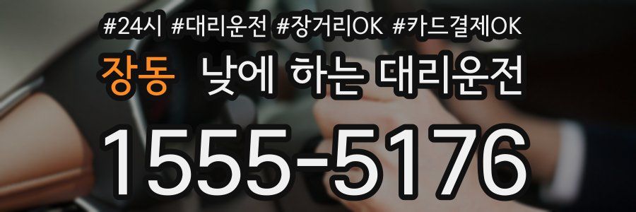 장동 낮에 하는 대리운전
