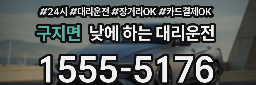 구지면 낮에 하는 대리운전