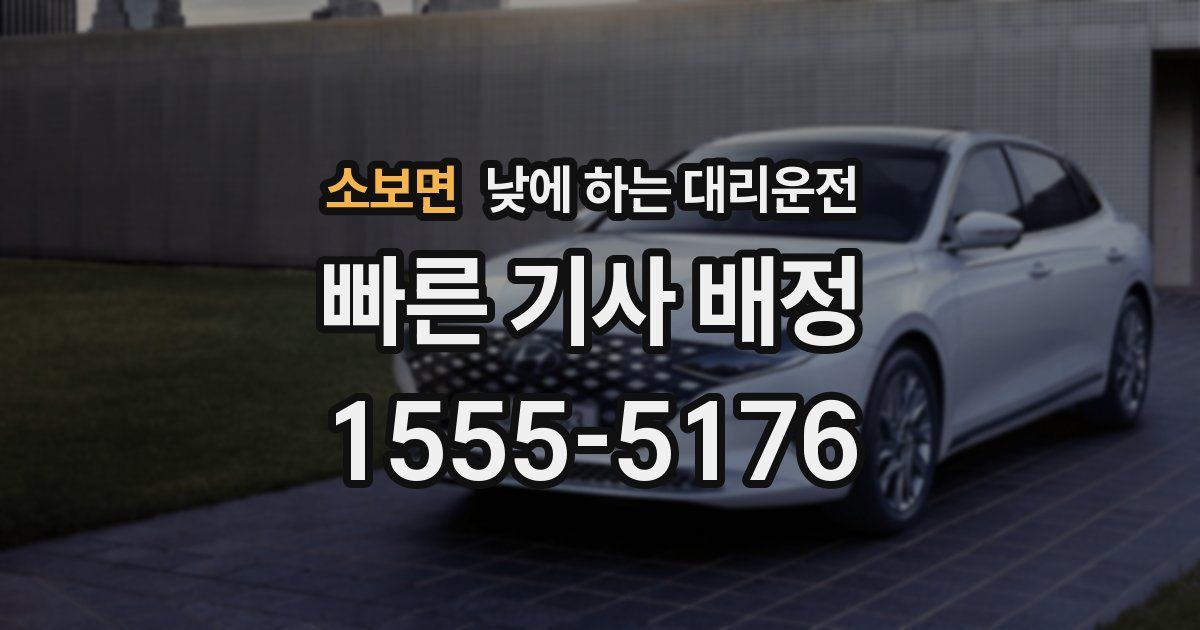 소보면 낮에 하는 대리운전