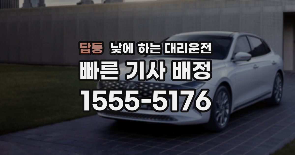 답동 낮에 하는 대리운전