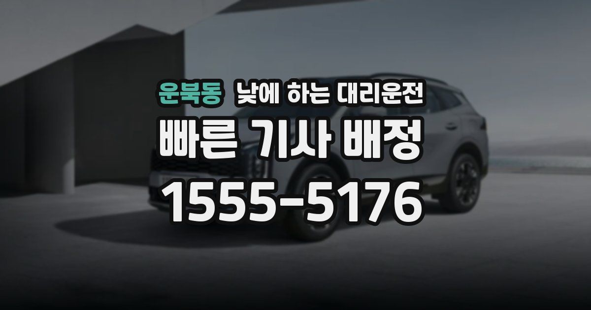 운북동 낮에 하는 대리운전