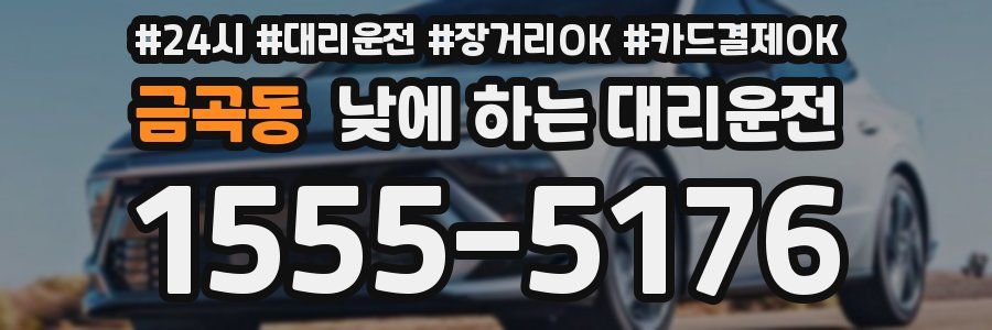 금곡동 낮에 하는 대리운전