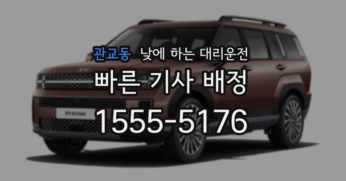 관교동 낮에 하는 대리운전