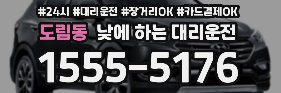 도림동 낮에 하는 대리운전