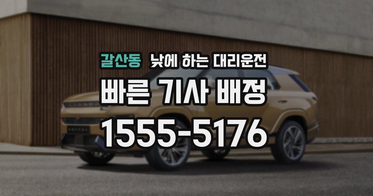 갈산동 낮에 하는 대리운전