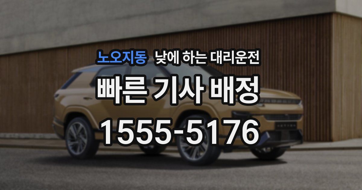 노오지동 낮에 하는 대리운전