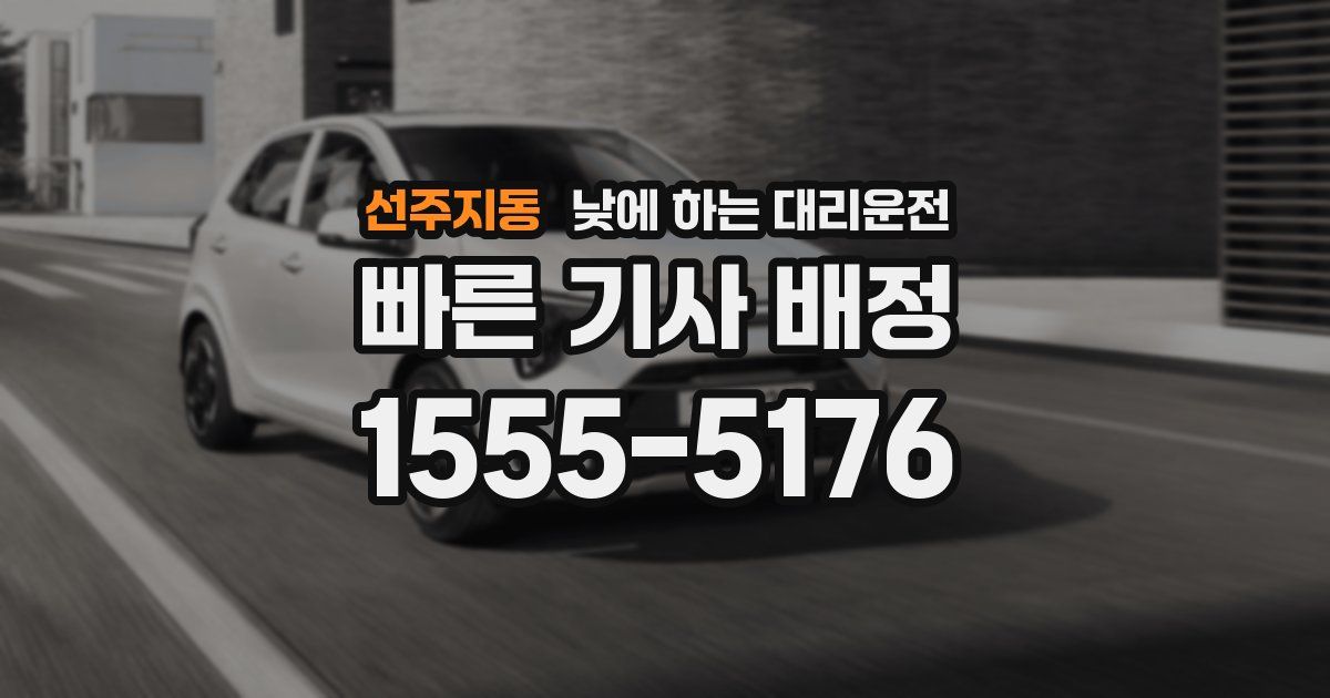 선주지동 낮에 하는 대리운전