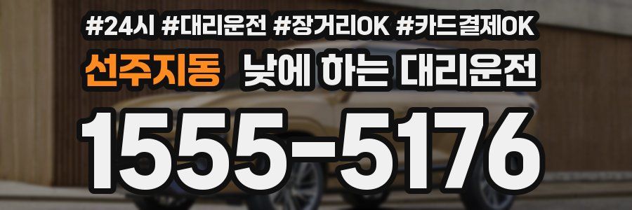 선주지동 낮에 하는 대리운전