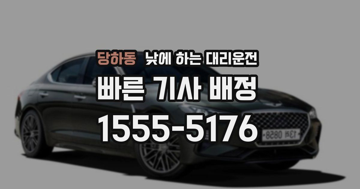 당하동 낮에 하는 대리운전