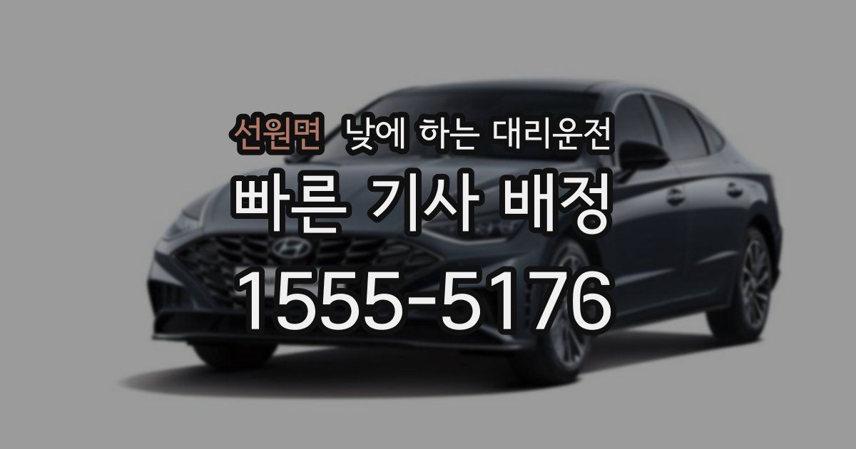 선원면 낮에 하는 대리운전