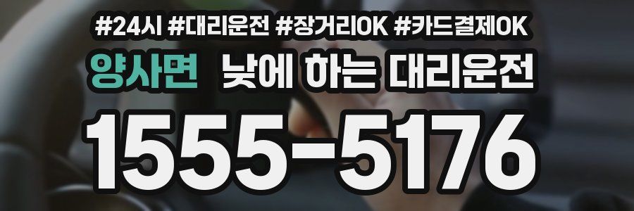 양사면 낮에 하는 대리운전
