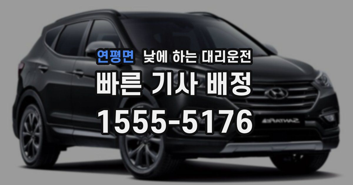 연평면 낮에 하는 대리운전