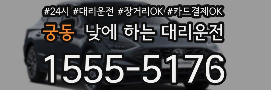 궁동 낮에 하는 대리운전
