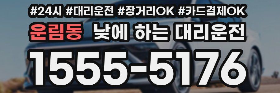 운림동 낮에 하는 대리운전