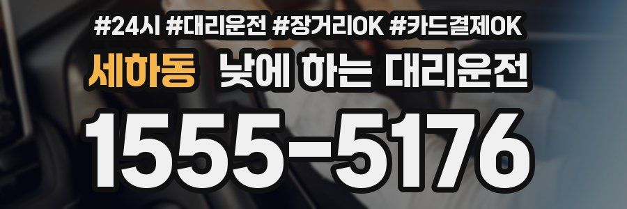 세하동 낮에 하는 대리운전