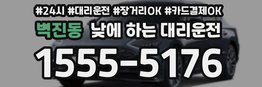벽진동 낮에 하는 대리운전