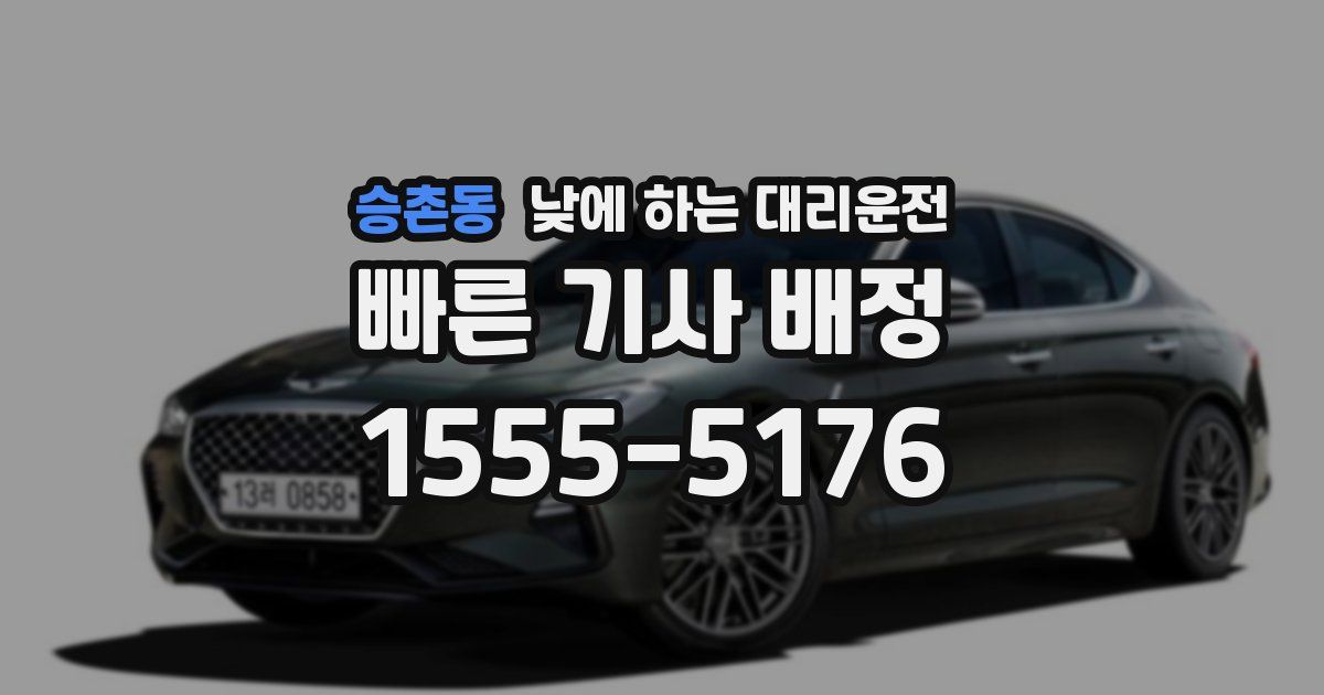 승촌동 낮에 하는 대리운전