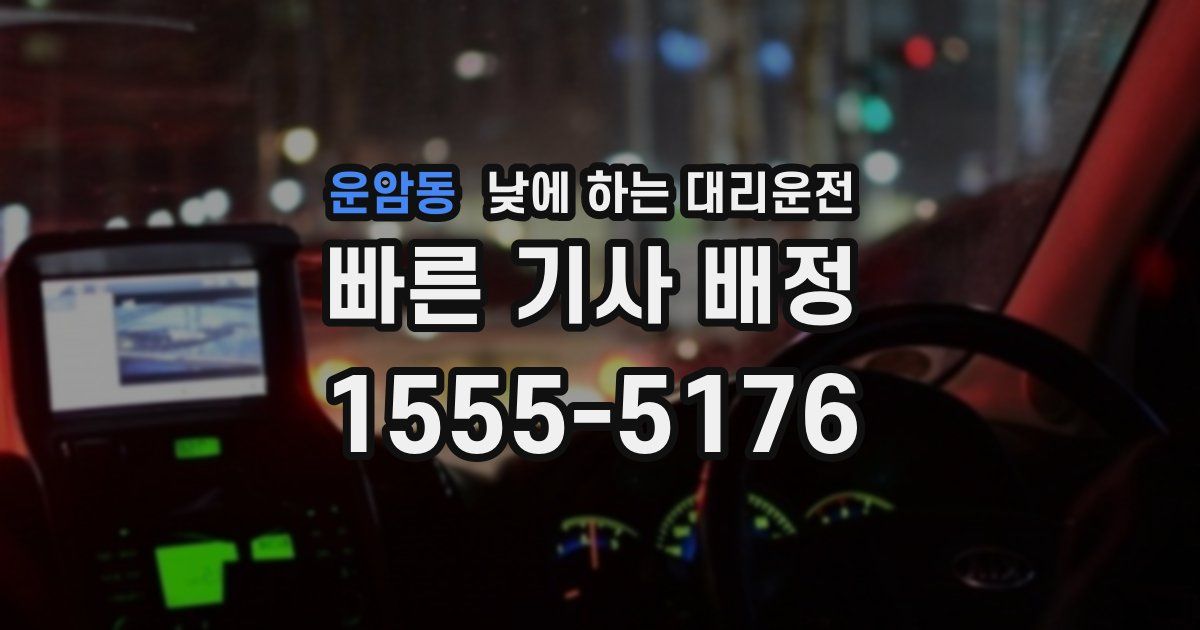 운암동 낮에 하는 대리운전