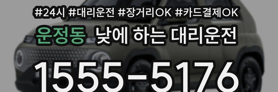 운정동 낮에 하는 대리운전