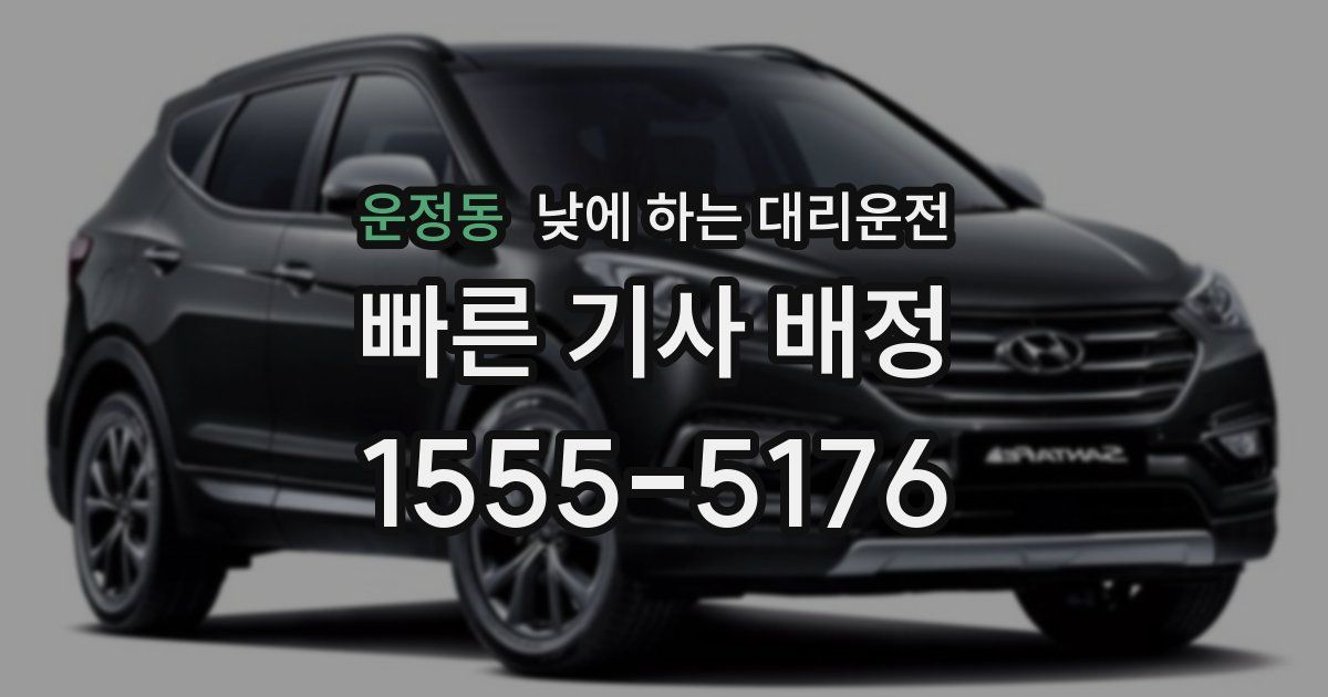 운정동 낮에 하는 대리운전