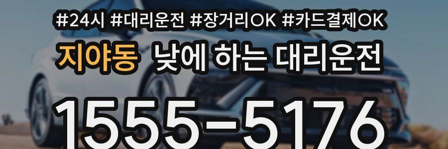 지야동 낮에 하는 대리운전