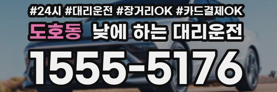 도호동 낮에 하는 대리운전