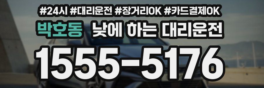 박호동 낮에 하는 대리운전
