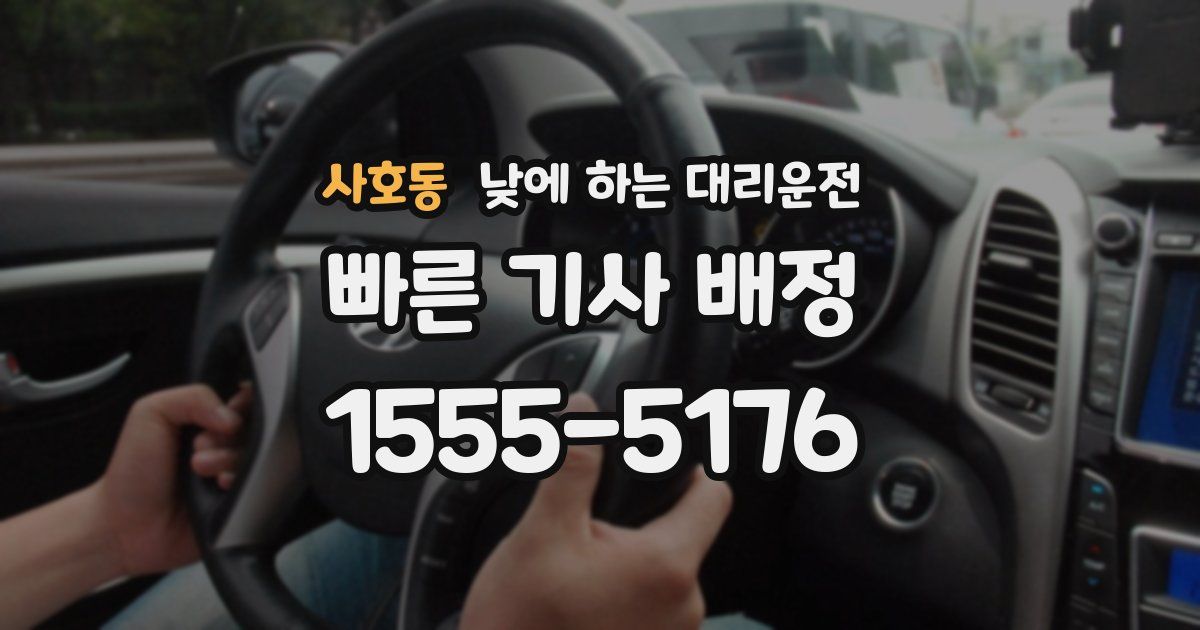 사호동 낮에 하는 대리운전