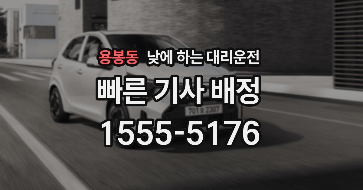 용봉동 낮에 하는 대리운전