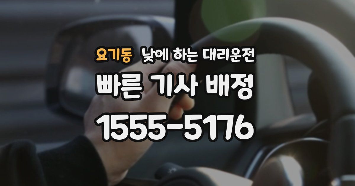 요기동 낮에 하는 대리운전