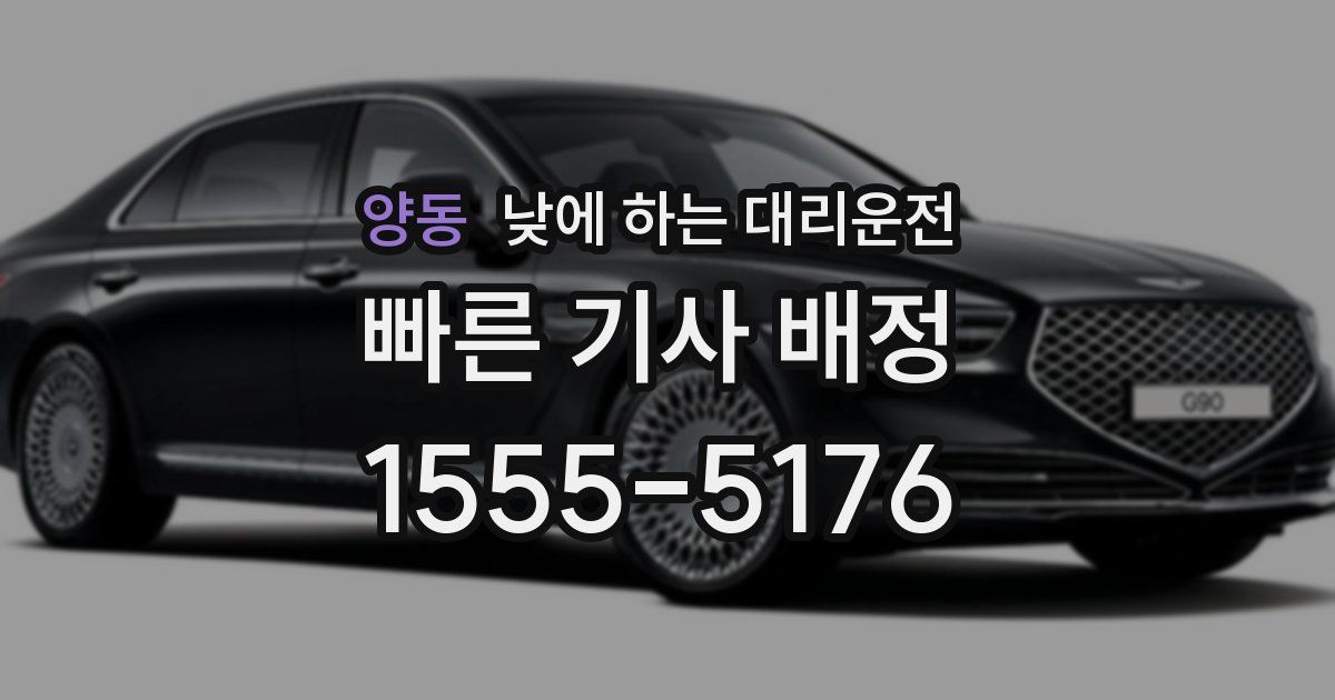 양동 낮에 하는 대리운전