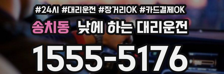 송치동 낮에 하는 대리운전