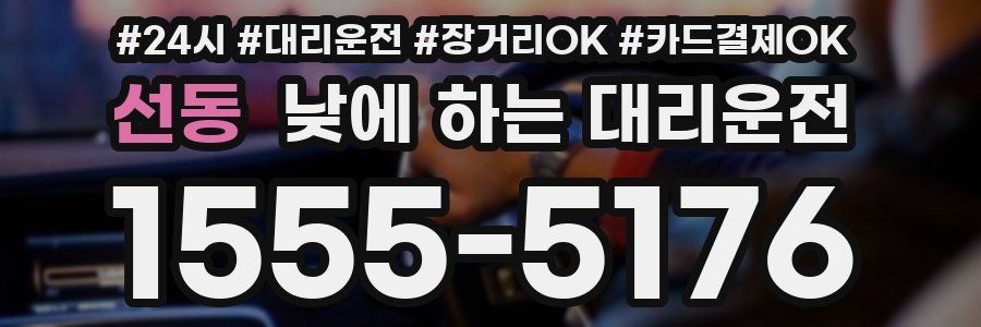 선동 낮에 하는 대리운전