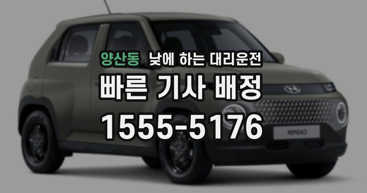 양산동 낮에 하는 대리운전