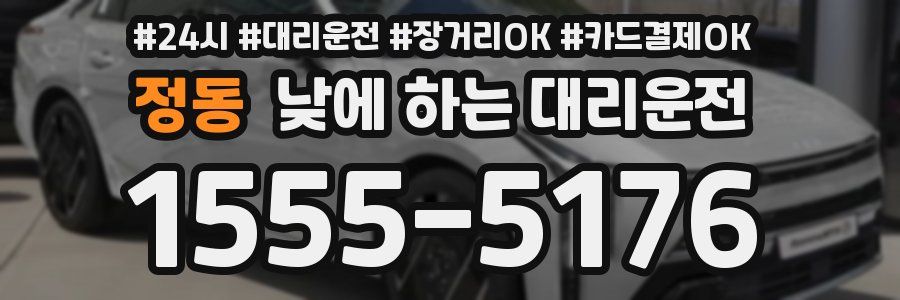 정동 낮에 하는 대리운전