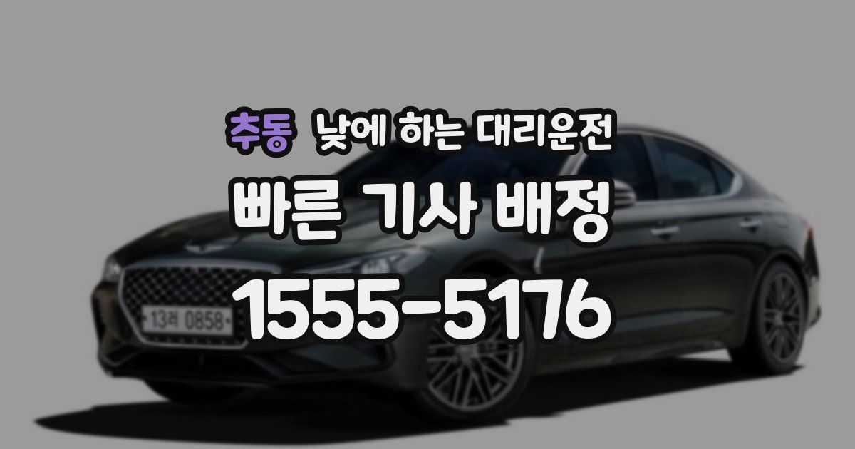 추동 낮에 하는 대리운전