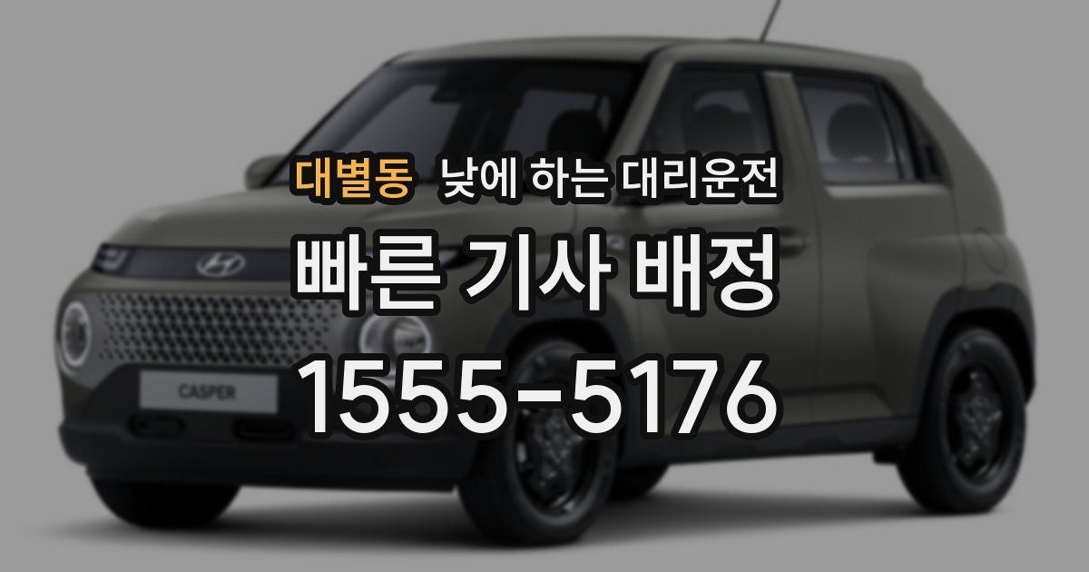 대별동 낮에 하는 대리운전