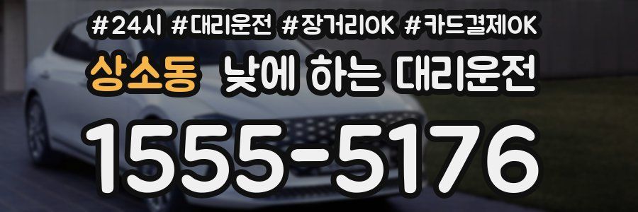 상소동 낮에 하는 대리운전