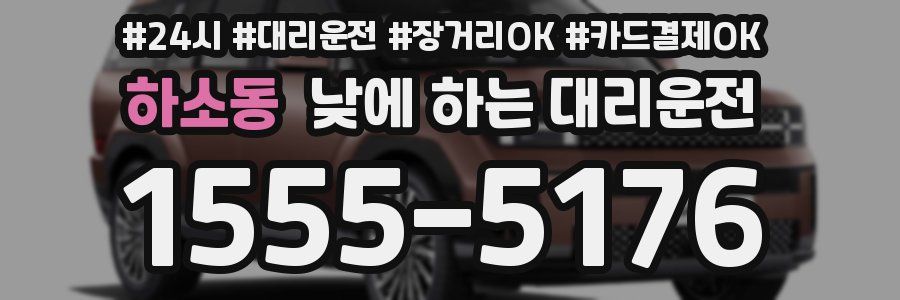 하소동 낮에 하는 대리운전