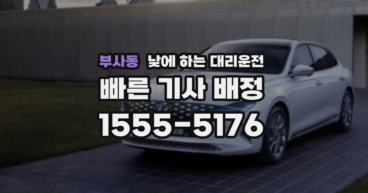 부사동 낮에 하는 대리운전