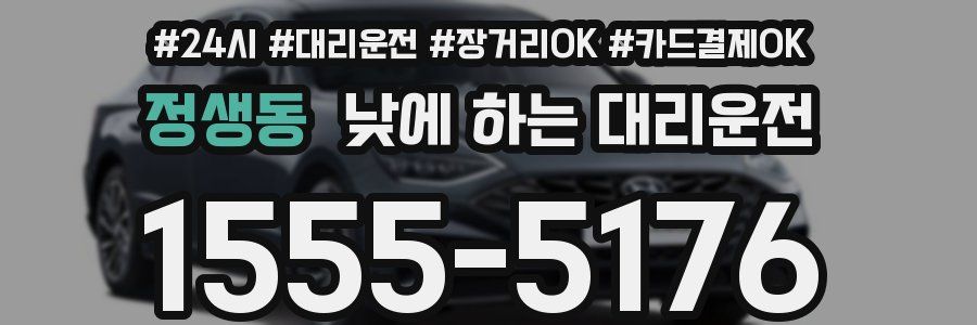 정생동 낮에 하는 대리운전